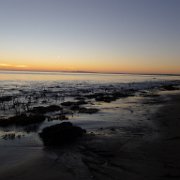 2014-01-17 PointReyesCamping 091 : 2014-01-17_PointReyesCamping